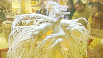 感知幸福中国吉林行｜走进中国人参之乡抚松，野山参采挖史可追溯至1600多年前