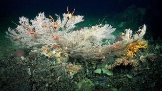 黄润秋：积极参与全球海洋环境治理，增强其应对气候变化韧性