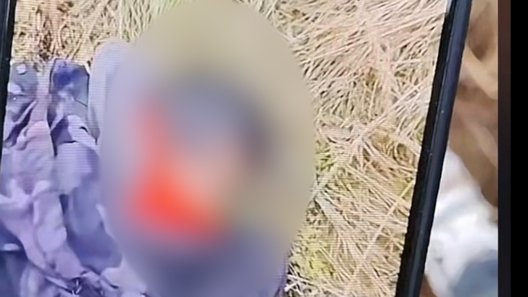 遼寧失聯4歲女童已找到，志愿者：在一處半米深的溝內趴著，生命體征較好