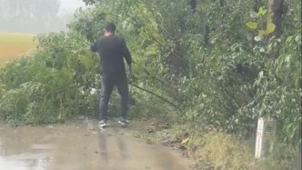 “做好事不留人”？熱心大哥想把攔路樹枝拖走意外摔進溝里