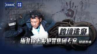 復刻四大家族“政軍商”模型、挑手筋剁手指……緬北果敢徐老發案細節曝光