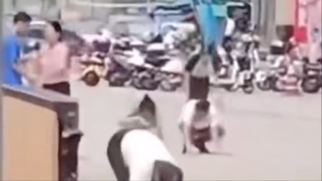 惠州街頭現(xiàn)多人爬行學(xué)狗叫，社區(qū)：正在排查是哪家公司