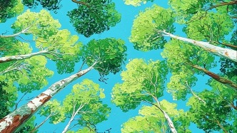 身體周刊 | 去森林散步，修復(fù)現(xiàn)代人的身心失衡