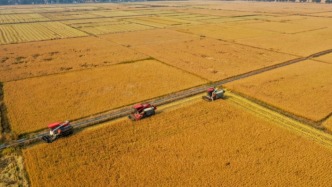 國常會：研究進一步做好糧食和農業生產工作