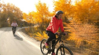 沪喀同心丨南疆胡杨黄啦！新疆泽普第十六届金湖杨旅游文化季来了