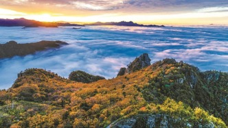 【高質量發(fā)展看陜西】生態(tài)美、產(chǎn)業(yè)強，綠水青山終不負