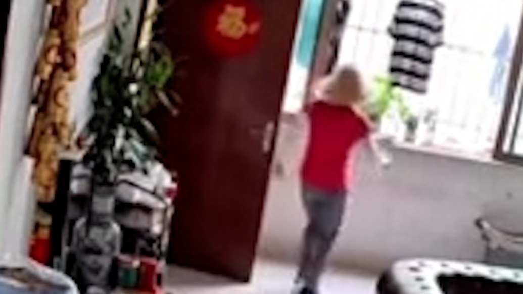 “防蚊入室搬綠植”引關(guān)注，廣東江門(mén)：社區(qū)根據(jù)具體情況進(jìn)行管控