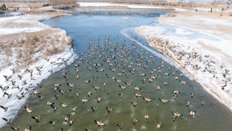 國家林草局：我國新增22處國家重要濕地