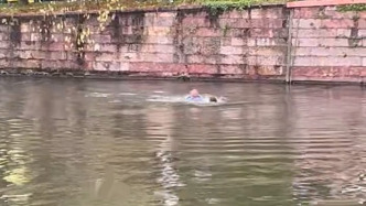 男子落入西湖，目擊者：警察果斷跳水將人救起