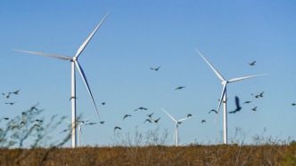 到2060年累計(jì)裝機(jī)50億千瓦，中國風(fēng)電裝機(jī)目標(biāo)全面提高