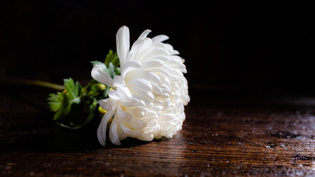 上海大智慧股份有限公司董事陳志去世，年僅55歲