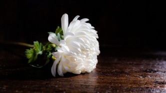 上海大智慧股份有限公司董事陳志去世，年僅55歲