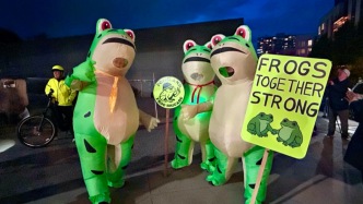 “不要國王”反特朗普抗議席卷全美，“賣崽青蛙”為何成了抗議標志？