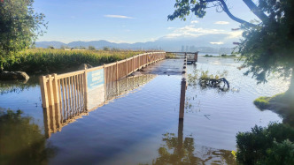 大理洱海水位迅速上涨：降雨偏多，净入湖水量是去年同期3倍