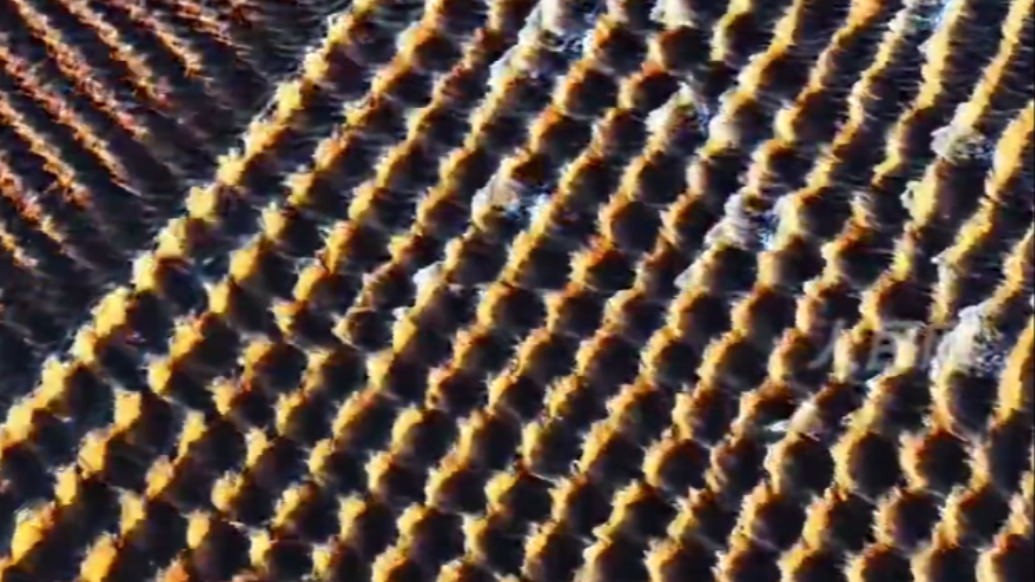 快看！钱塘江现罕见“龙鳞潮”