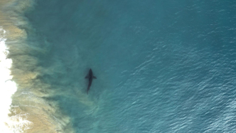 照护者说 | 胡泳：重思脆弱性