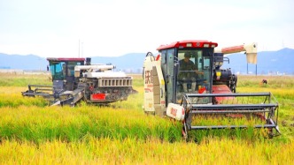 全國秋糧收獲近八成