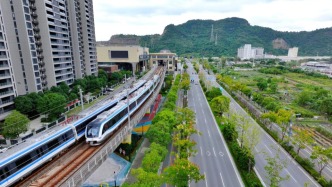 温州大道的“民生温度”：铺就龙湾宜居新图景
