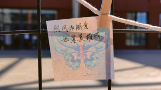 努力三年的本科生，撞上政策變化的保研季