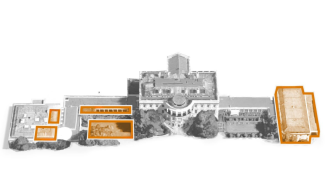 一圖看懂｜挖掘機忙個不停，特朗普對白宮做了哪些改造？