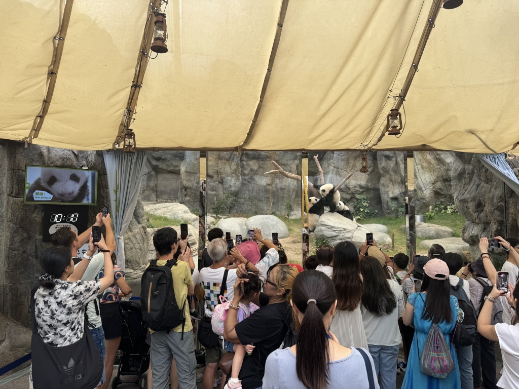 香港海洋公园：上一财年亏损2.75亿港元，大熊猫带动入场人次和收入连续四年上升