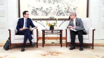 外交部部長(zhǎng)助理蔡偉會(huì)見《不擴(kuò)散核武器條約》第十一次審議大會(huì)候任主席、越南常駐聯(lián)合國(guó)代表杜雄越大使