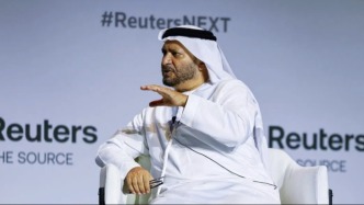 阿聯(lián)酋官員強調：以色列勿突破巴勒斯坦領土紅線