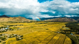 生態(tài)環(huán)境法典草案擬提請二審：進(jìn)一步落實過罰相當(dāng)原則