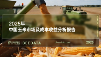 2025年中國玉米市場及成本收益分析報(bào)告