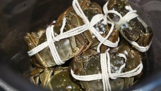 實測網(wǎng)購五家江蘇發(fā)貨的大閘蟹，運(yùn)速、實重、品控哪家強(qiáng)？