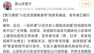 安徽黃山警方：博主為博關(guān)注編造“小區(qū)流浪貓被虐待”視頻，已被行拘