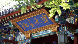 北大發布世界首個星球健康人工智能大模型