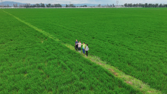 嚴格占用耕地管控，耕地保護和質(zhì)量提升法草案首次提請審議