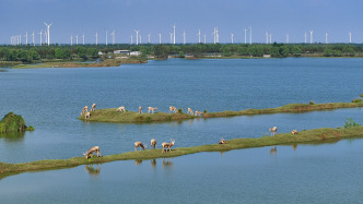 再進(jìn)一步！生態(tài)環(huán)境法典2編草案再次提請審議