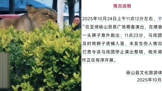 獅子逃出在街上奔跑，碭山縣文旅體局：已誘捕入籠，責令馬戲團停演整頓