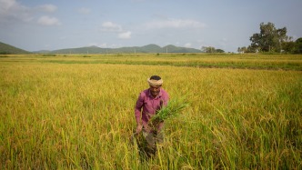 印美“非常接近”達成貿(mào)易協(xié)定？印部長：不會倉促簽署任何協(xié)議