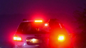 綁架中國(guó)公民的3名嫌犯被南非警方擊斃