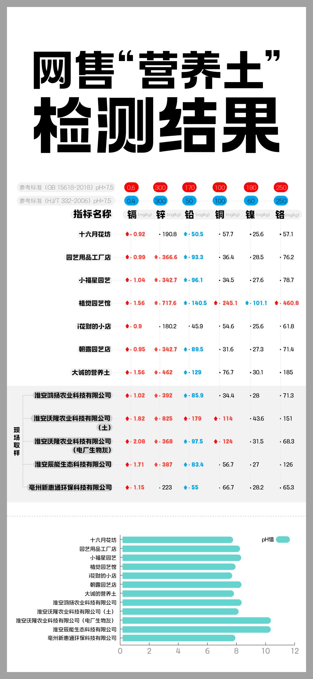 影子暗访丨“毒营养土”调查（上）：建筑垃圾摇身一变成营养土，检出重金属超标