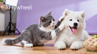 还在吃预制菜的人，让宠物吃上了鲜食