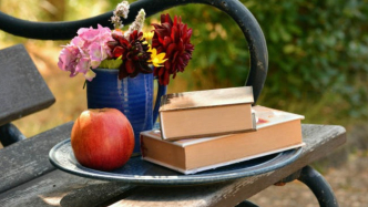 出于發(fā)行推廣需要而簽訂的著作權轉讓合同為何無效？