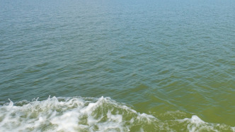 珠江口水域發(fā)生一起撞船事故，一艘散貨船沉沒2人失聯(lián)