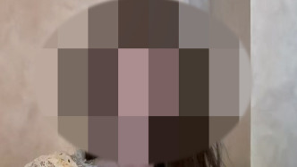 網(wǎng)絡(luò)相親遇富二代海歸女？男子稱被套路買下千余元泡泡瑪特，平臺(tái)已封禁女方賬號(hào)