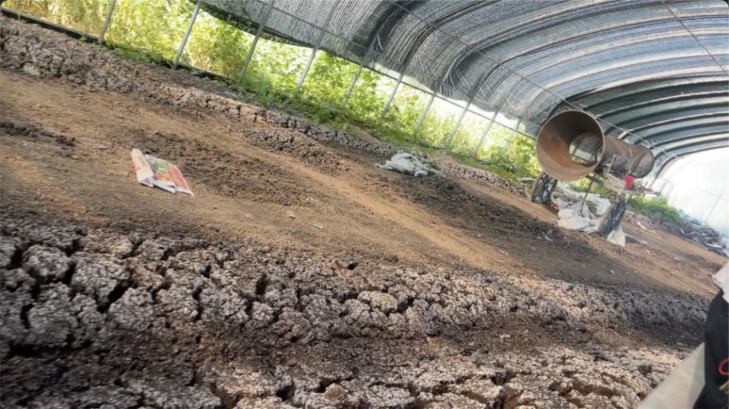 影子暗訪｜“毒”營養土調查：以蚯蚓養殖為名接收污泥倒賣