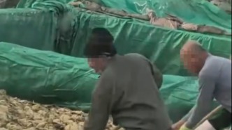 官方通報(bào)男子在酸菜池吐痰：產(chǎn)品未流入市場(chǎng)，涉事企業(yè)接受調(diào)查