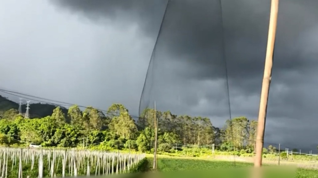 廣東海豐林業局回應“農田大片鳥網”：農戶為防鳥架設，已拆除