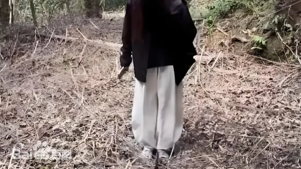 女子徒步時誤將蛇窩當(dāng)“野生蹦床”，看到網(wǎng)友評論才直呼后怕