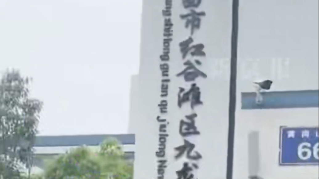 南昌教体局回应50名小学生集体不上课：正在积极处理