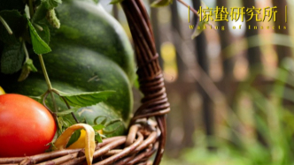 扎堆“有風的地方”，這八大田園經(jīng)濟崛起