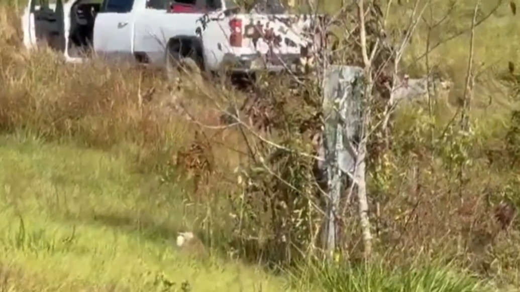 美国一卡车侧翻实验猴逃脱，警方：尚有一只在逃，有攻击性