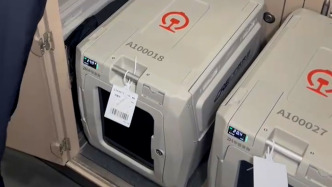 購票頁面現“寵”字標識，12306客服：對應高鐵寵物托運業務，需提前預約